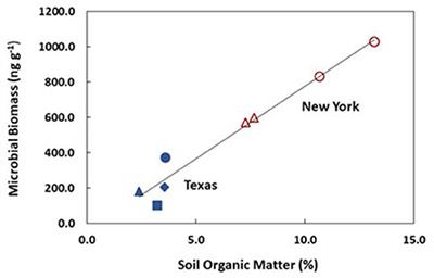 Structure and functioning of wild and agricultural grazing ecosystems: A comparative review